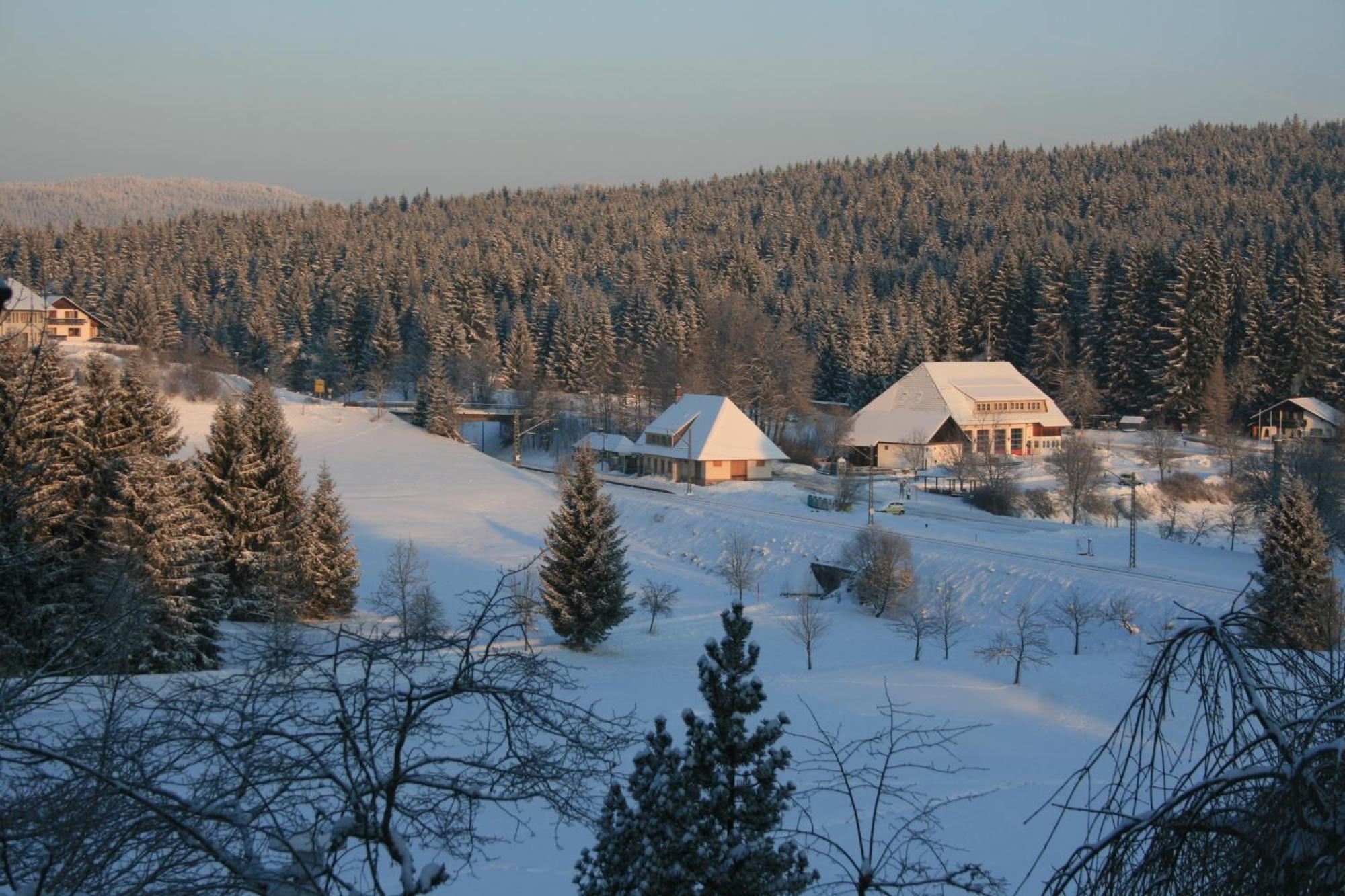 Hotel Waldeck Mit Restaurant "Florian'S" Feldberg  Exterior foto